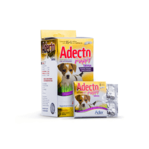Adecto Puppy