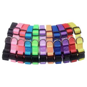 Collar básico de colores para perros y gatos