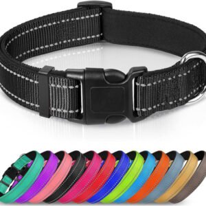 Collar de nailon reflectante